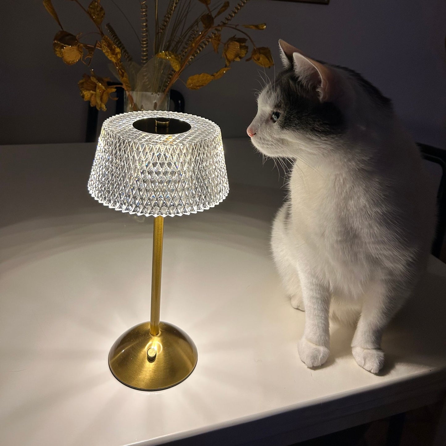 Cristaly Lamp